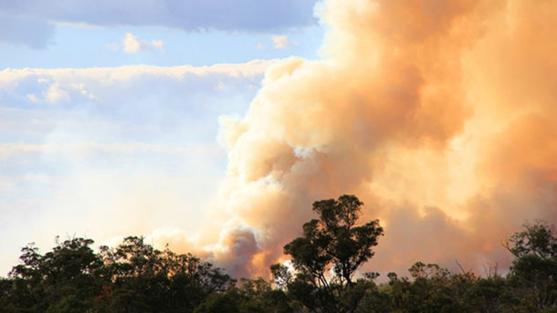 （大火持續延燒，濃煙及高溫往上形成火積雲，恐怕讓火勢再往其他地方蔓延。圖片來源：shutterstock）